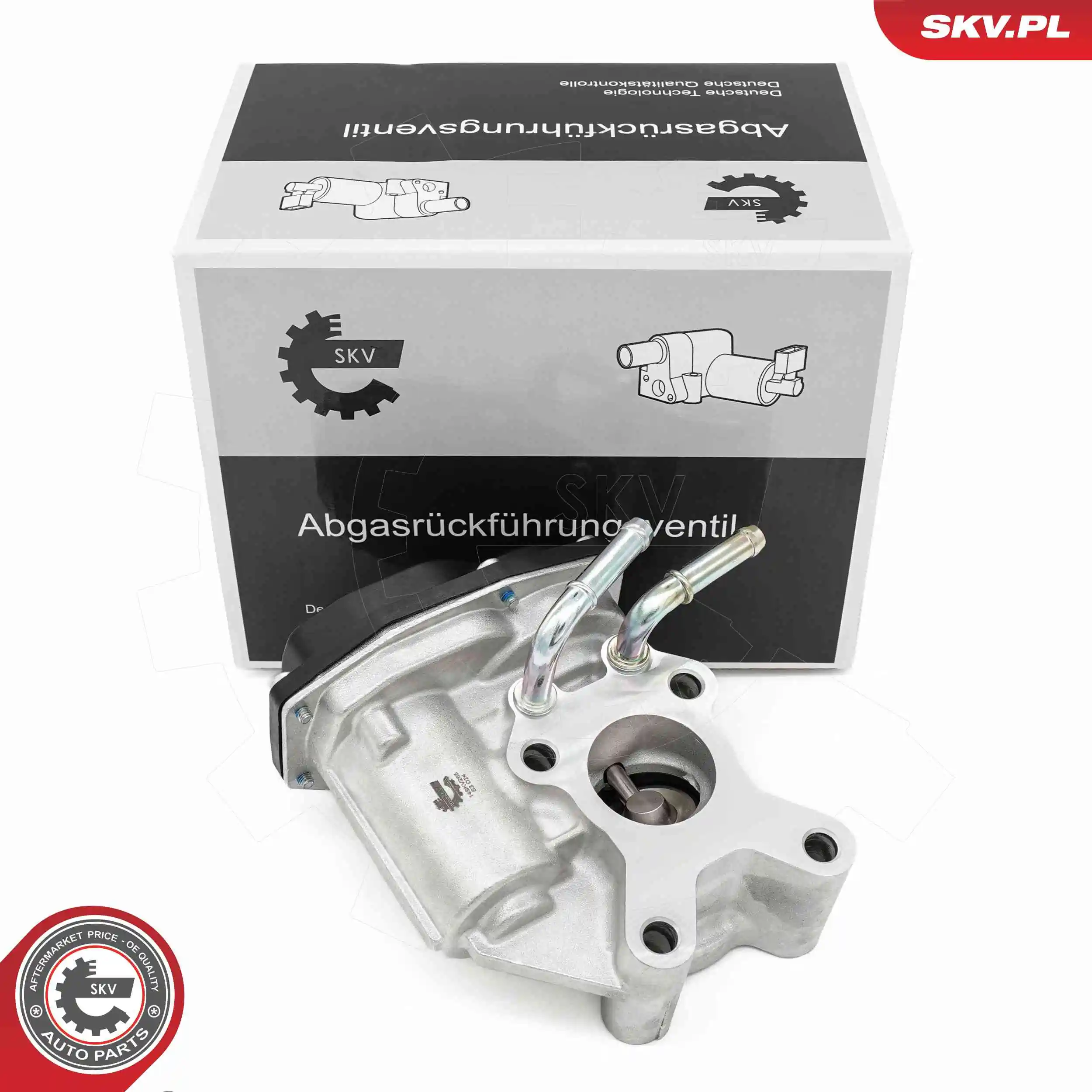 EGR Valve